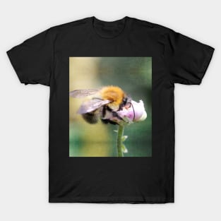 Bee Kind to Yourself T-Shirt